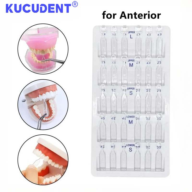 Teeth Whitening Moulds - 30 ชิ้น/ชุด แม่พิมพ์วีเนียร์ฟัน สำหรับฟันหน้า แม่พิมพ์เรซินคอมโพสิต ชุดวัสดุอุดฟันชนิดบ่มด้วยแสง