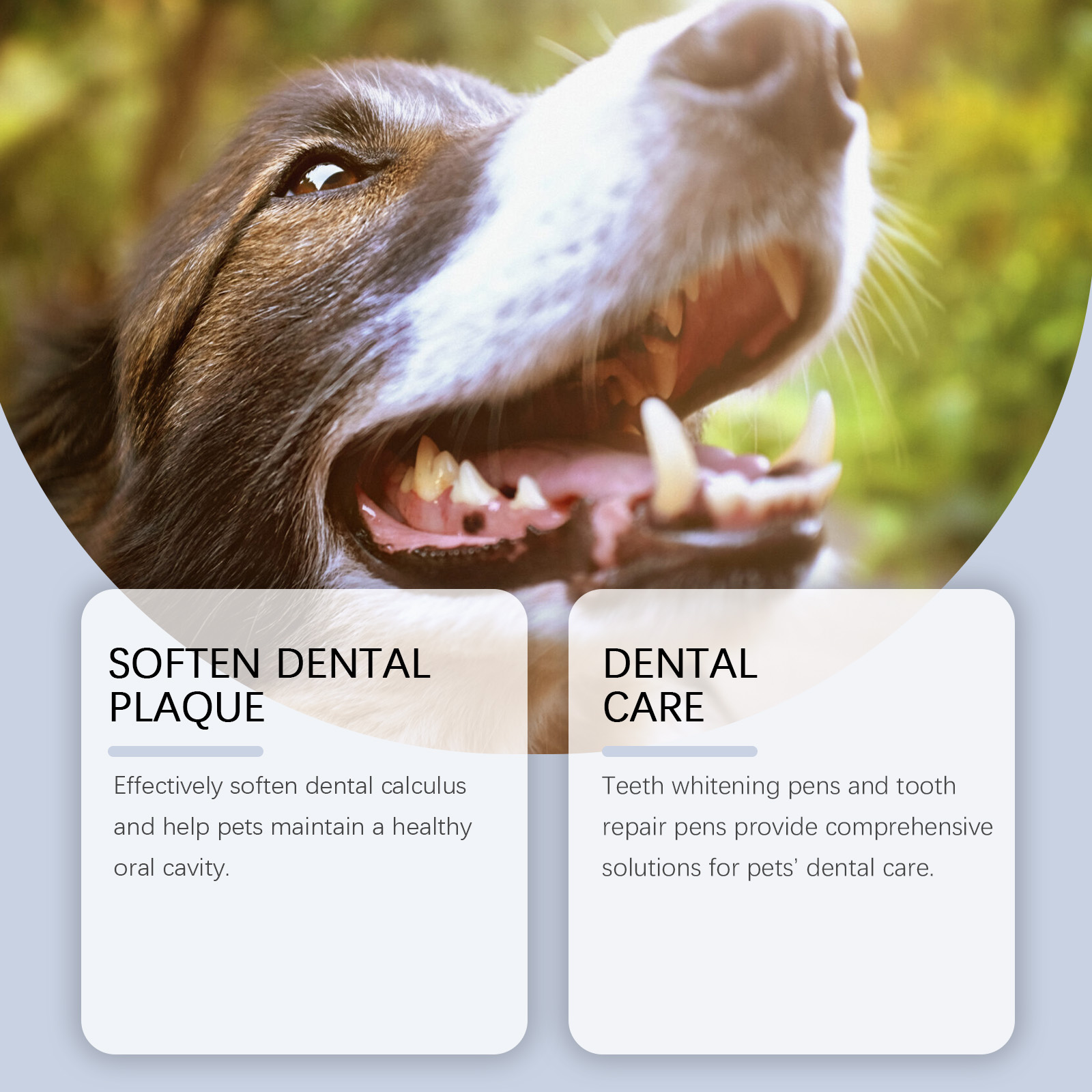 ชุดปากกาฟอกฟันขาวสำหรับสุนัขแล - Teeth Whitening Pens บทวิจารณ์และราคา