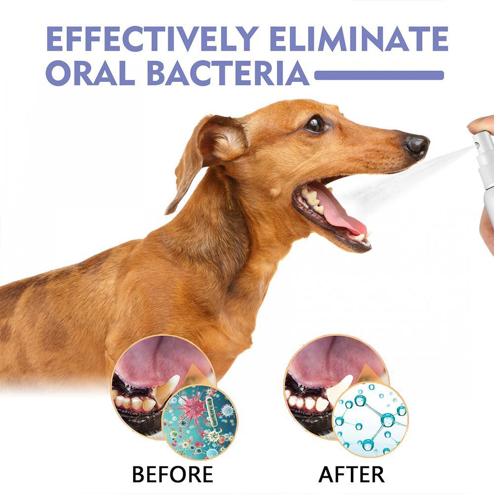 สเปรย์สำหรับทำความสะอาดช่องปาก - Teeth Whitening Mouthwash บทวิจารณ์และราคา