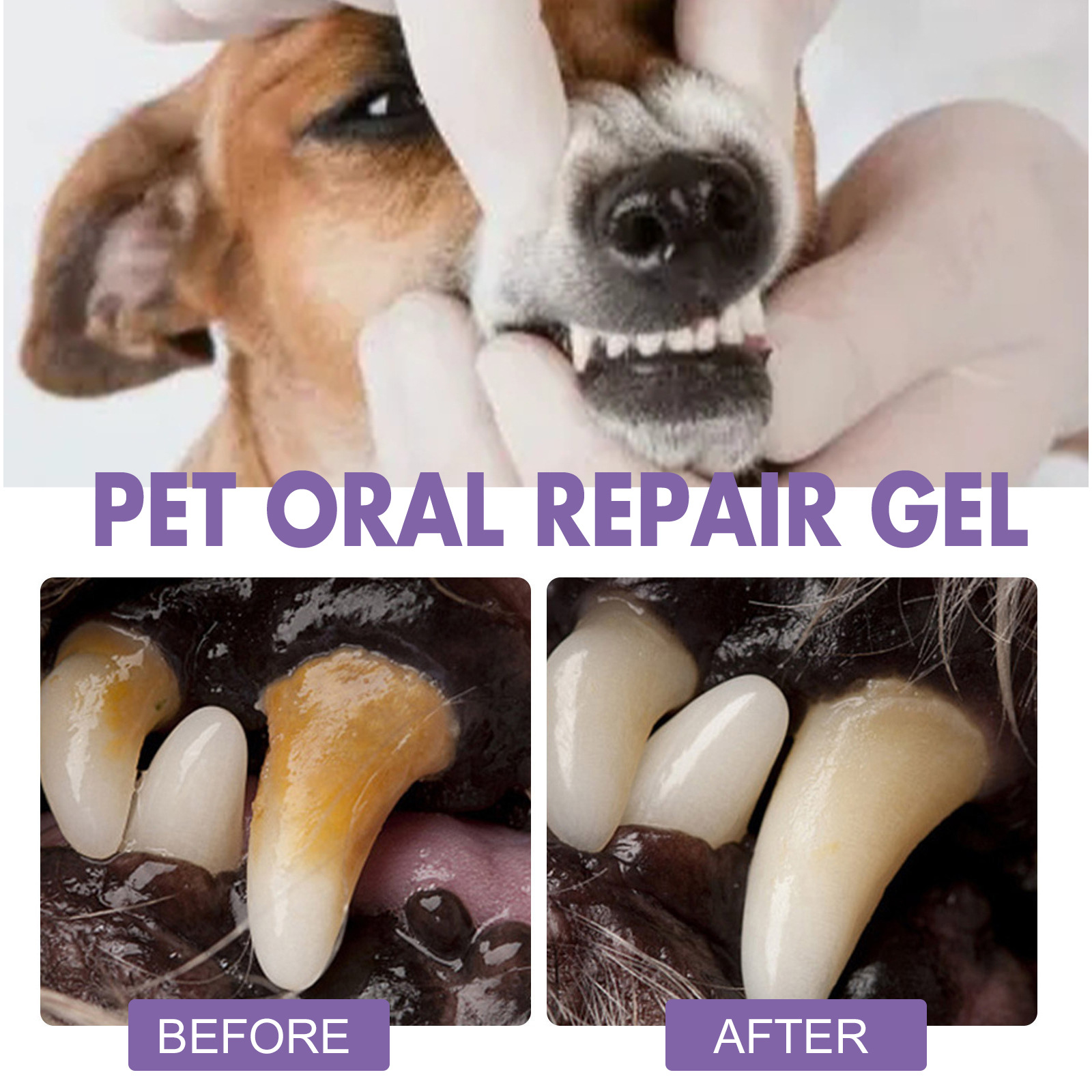 สัตว์เลี้ยง Oral Repair GEL Pu - Teeth Whitening Mouthwash บทวิจารณ์และราคา